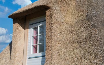 Feagour thatch roof disadvantages